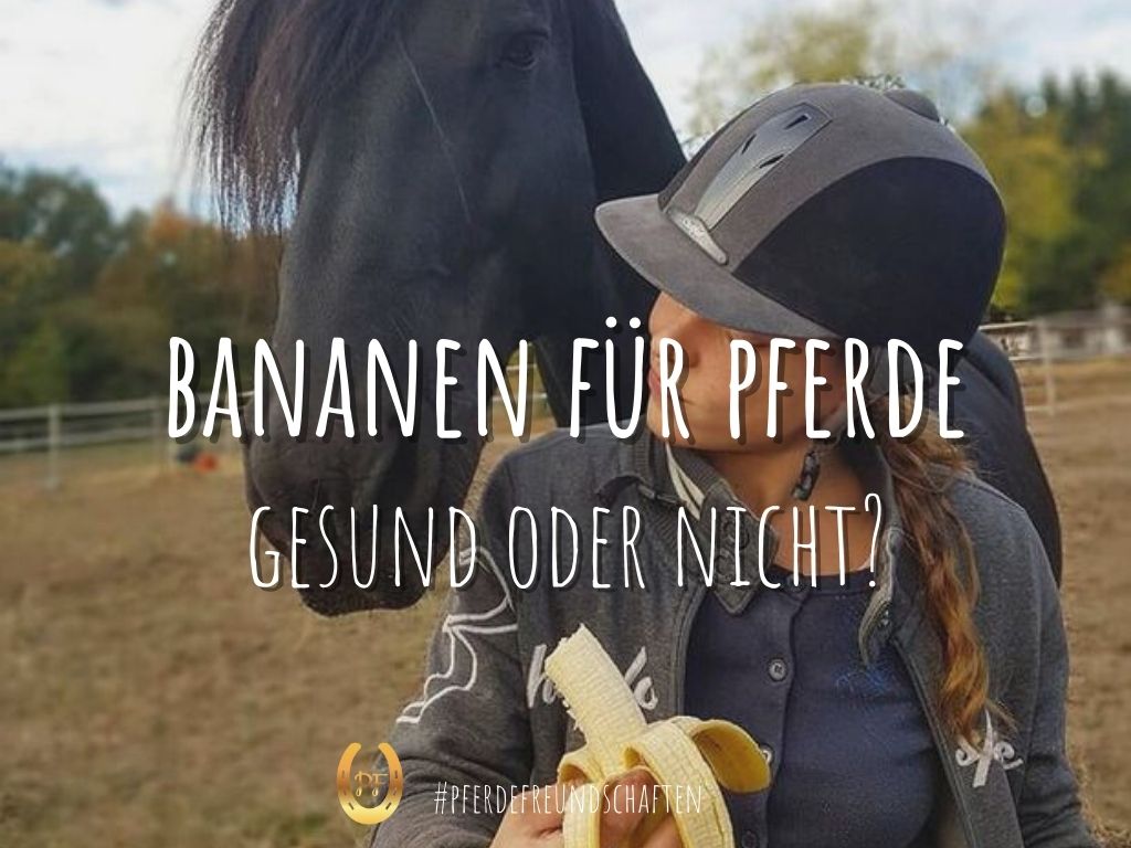 Bananen für Pferde
