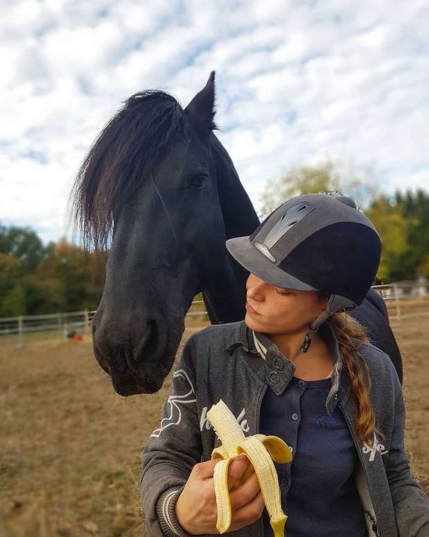 Bananen für Pferde