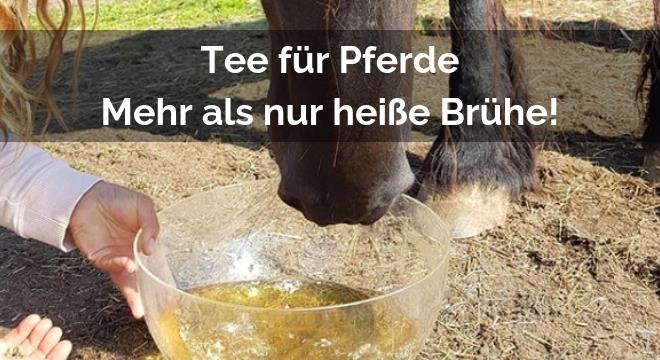 Tee für Pferde