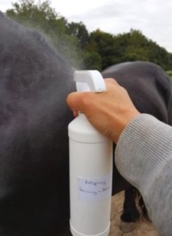 Fellspray für Pferde selber machen