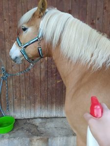 Pflegeformel für Pferde