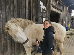 Pflegeformel für Pferde